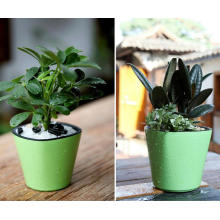 (BC-F1050) Fashionable Design Plastic Self-Watering Flower Pot